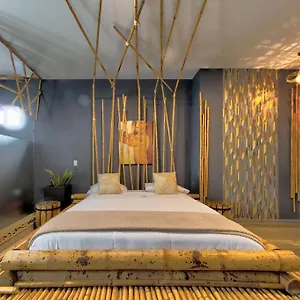  Hotel Zensual Colombia